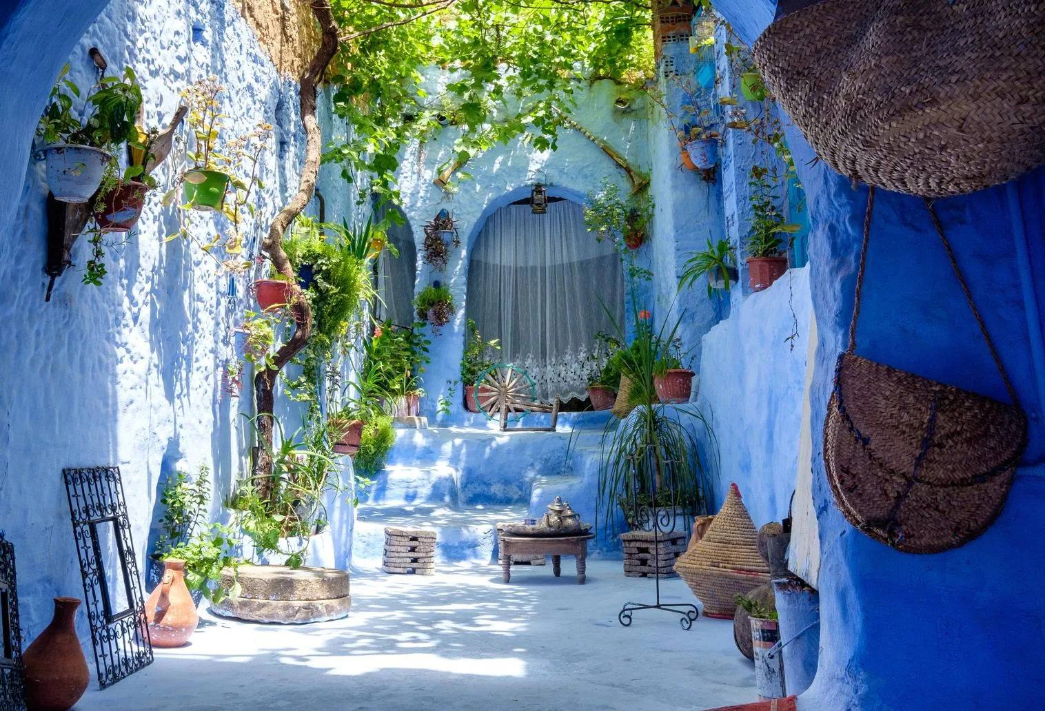 A blue-washed courtyard with potted plants in Chefchaouen