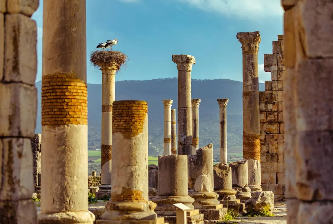 Roman columns with a stork's nest at Volubilis