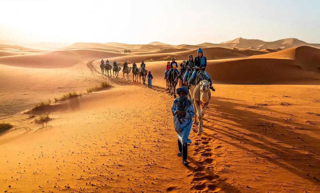 A camel caravan crossing the dunes near Merzouga