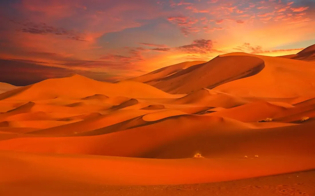 Golden Sahara dunes at sunset